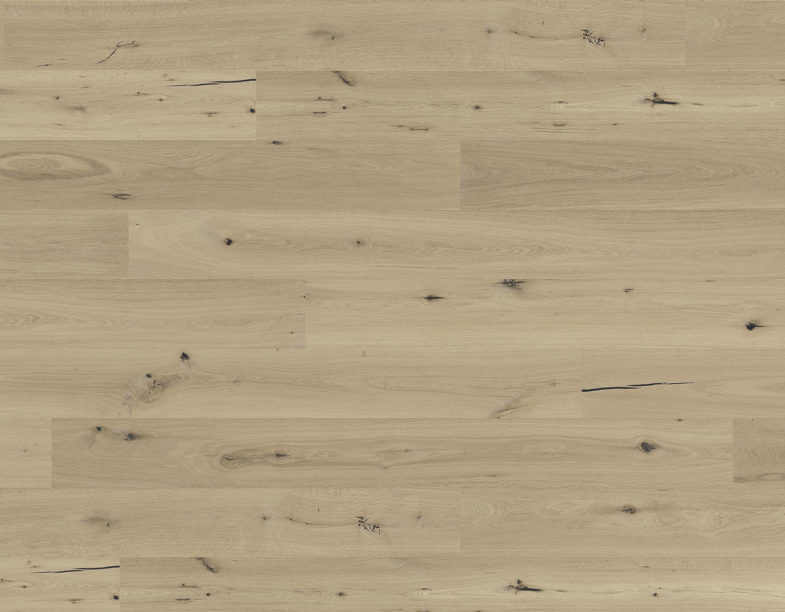 Barth Ek Brida L 190mm - original