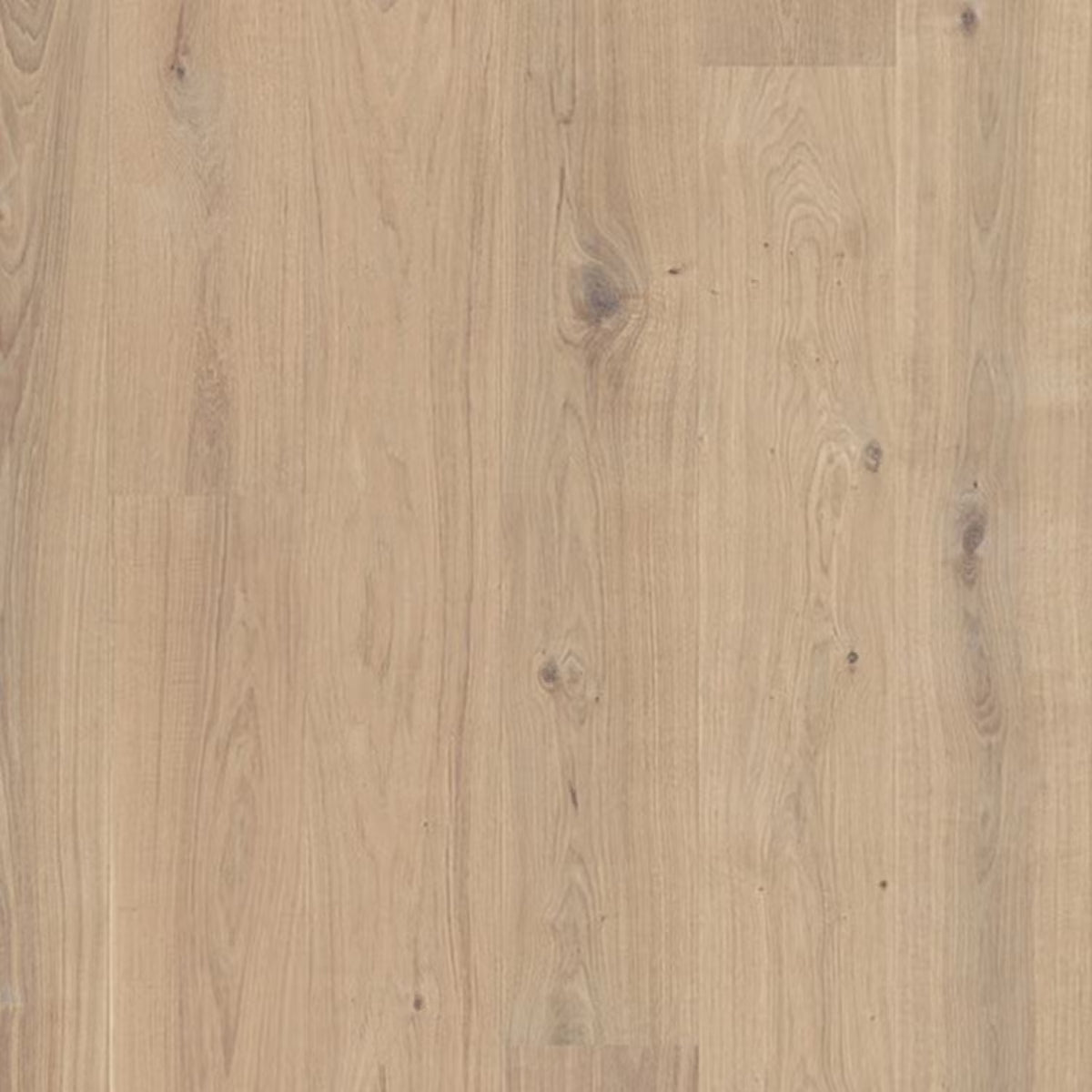 Berg & Berg Ek XXL Spader Borstad Vitolja