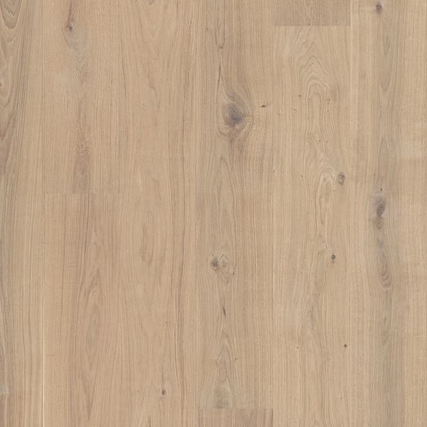 Berg & Berg Ek XXL Spader Borstad Vitolja
