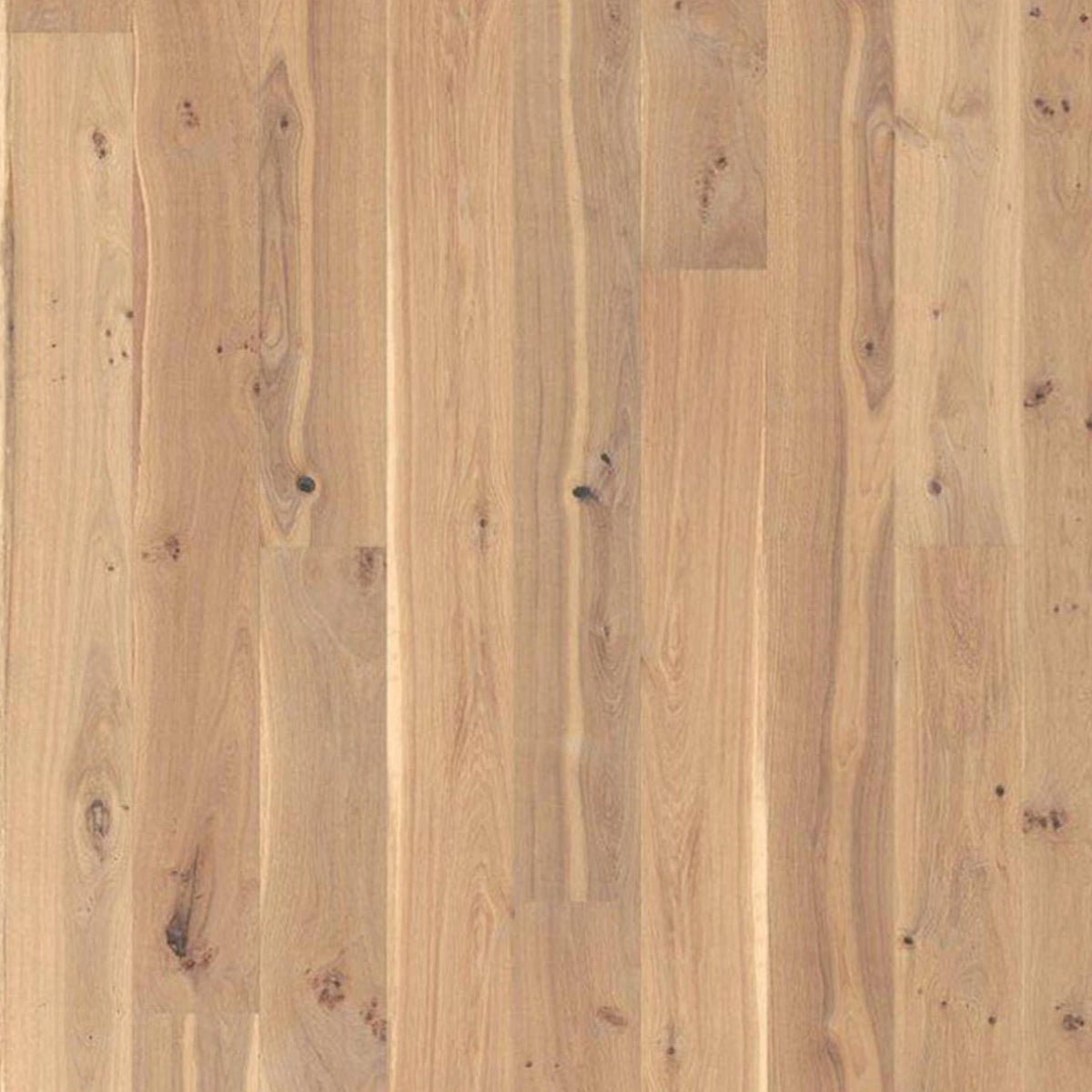 Berg & Berg Plank Ek XXL Vild Borstad Vit Mattlack