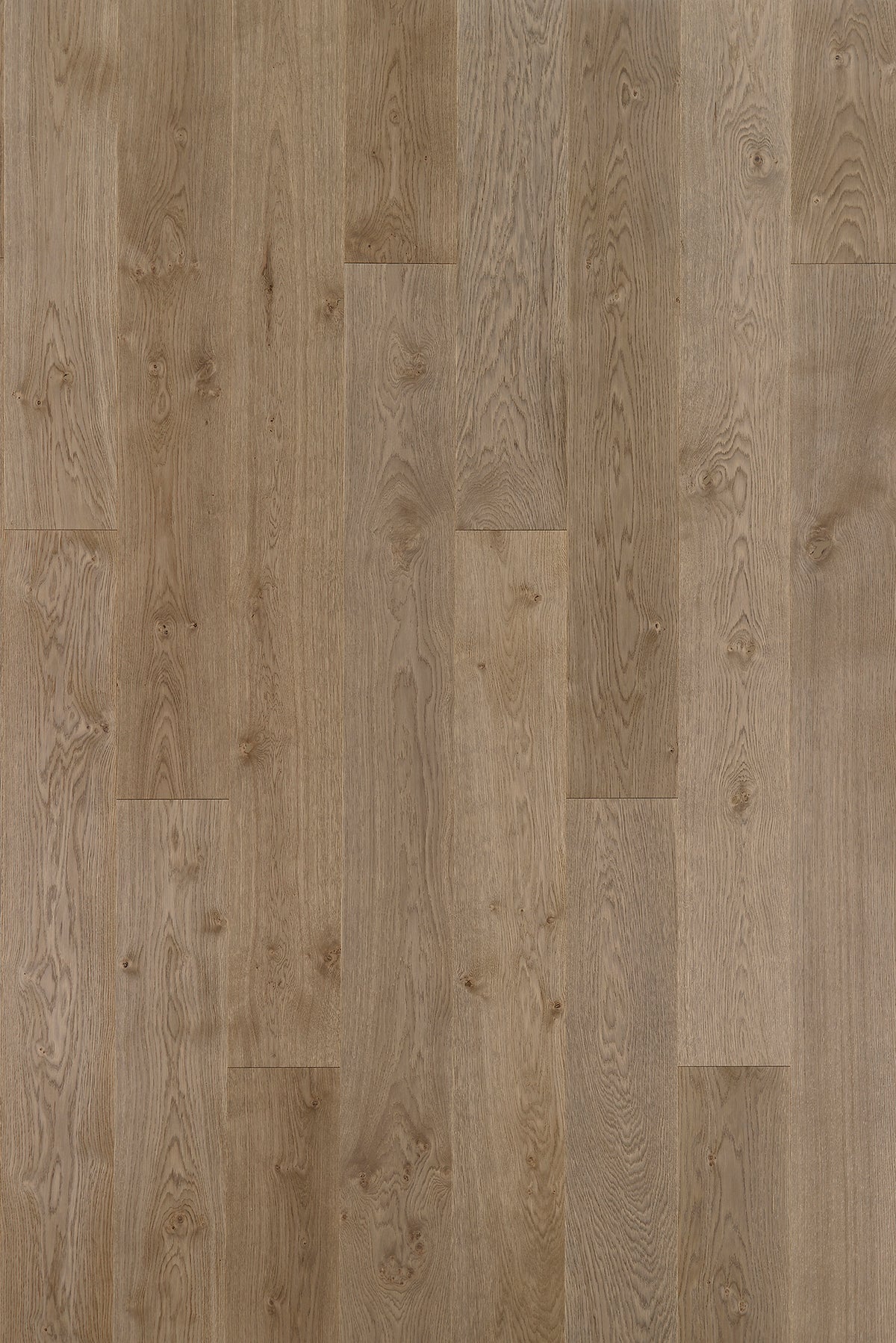 Timberwise ek Biscuit Grey – bilden visar Classic / Natur, borstad / mattlackad. Vägledande prov; annan vald sortering eller yta kan avvika.
