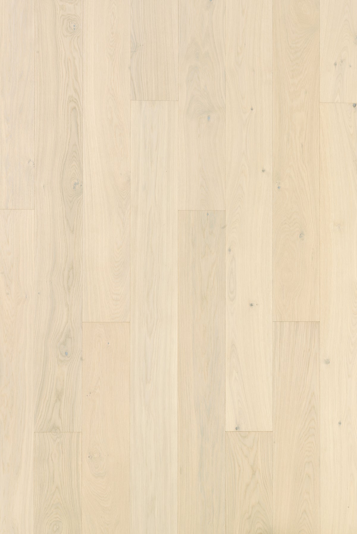 Timberwise ek Cream. Sortering är inte angiven. Vägledande prov; ytbehandling och plankmått är inte verifierade.