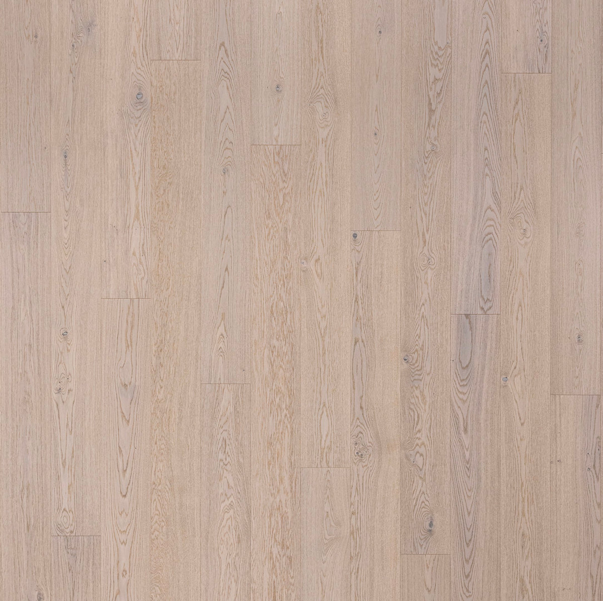 Timberwise ek White Matte Lacquered – bilden visar Classic / Natur, borstad / mattlackad. Vägledande prov; annan vald sortering eller yta kan avvika.