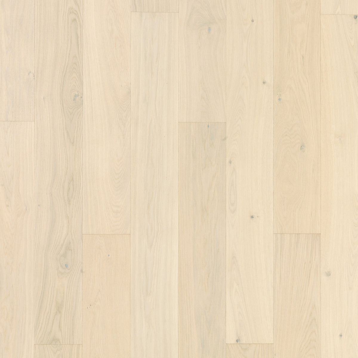 Timberwise Ekplanka Cream – kvadratisk produktbild ovanifrån med plankorna vertikalt. Vägledande kulörreferens; sortering, ytbehandling och plankmått kan avvika.