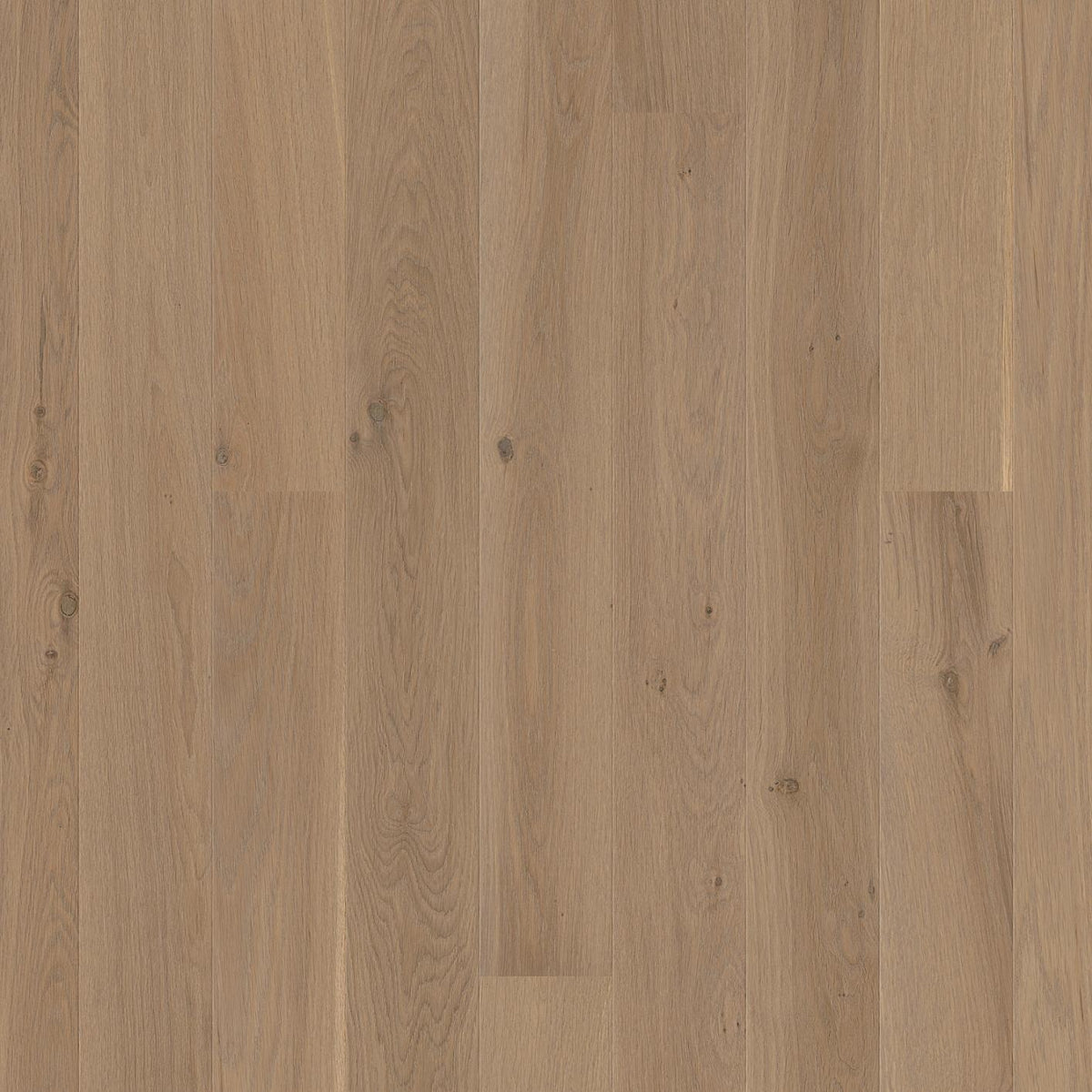 BOEN 3-skikts trägolv Ek Sand Animoso (Plank 138) 14x138x2200