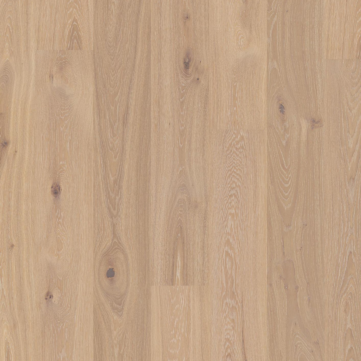 BOEN 3-skikts trägolv Ek Coral Animoso 14x181x2200