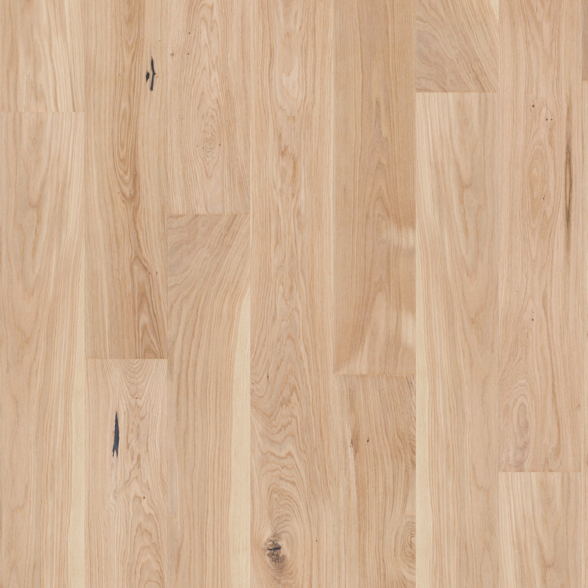 Moland Ektilja Burghley Wideplank Ek UV-mattlack Pavé Trend